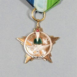 SYRIE MEDAILLE POUR L'ENTREINEMENT MILITAIRE DE DEUXIEME CLASSE MILITARY TRAINING MEDAL OF SYRIA °