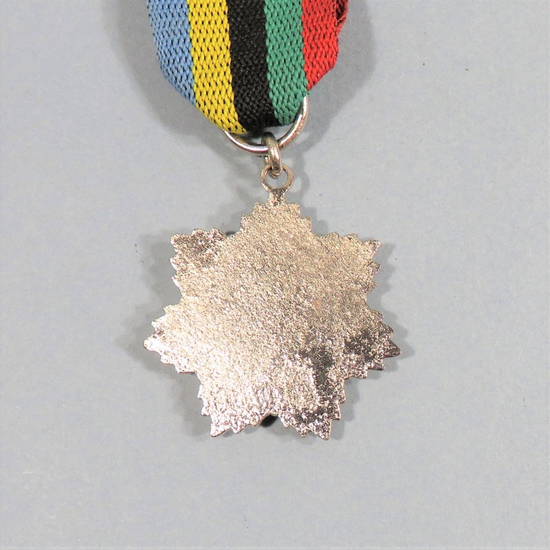 IRAK MEDAILLE COMMEMORATIVE DE LA VICTOIRE DE LA SECONDE GUERRE VICTORY MEDAL OF WWII °