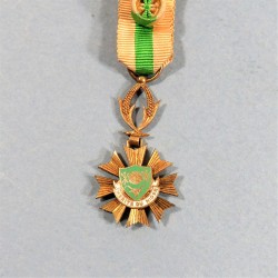 NIGER REDUCTION DE LA MEDAILLE D'OFFICIER DE L'ORDRE DU MERITE DU NIGER ORDER OF MERIT NIGER MINIATURE KNIGTH MEDAL °