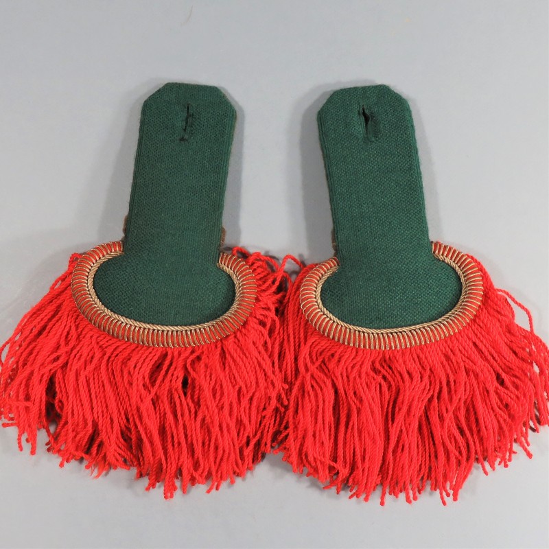 PAIRE D'EPAULETTES DE SOUS OFFICIERS DE CAVALERIE REC LEGION ETRANGERE 1 er REC FABRICATION 1960 - 1980 T2B