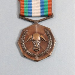 AFRIQUE DU SUD CISKEI MEDAILLE DE LA POLICE SECURITE DE L'ETAT 10 ANS SOUTH AFRICA DEPARTEMENT OF STATE SECURITY SERVICE MEDAL °