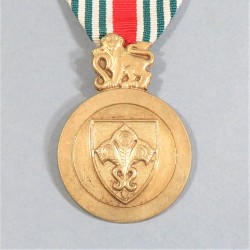 AFRIQUE DU SUD MEDAILLE DU NATIONAL INTELLIGENCE SERVICE CLASSE ARGENT SILVER CLASS SOUTH AFRICA NIS MEDAL °