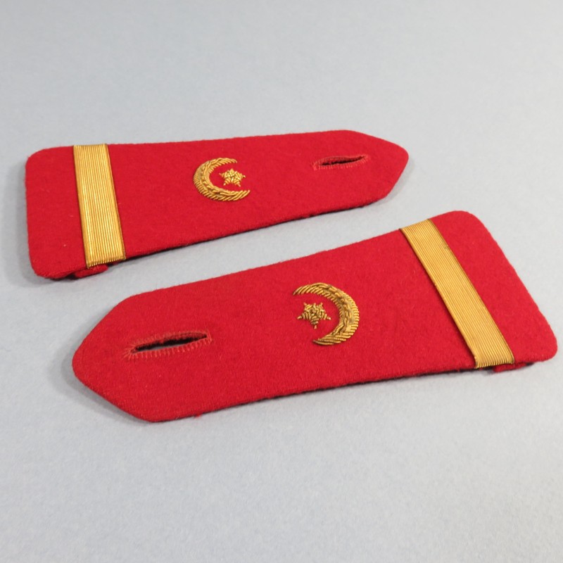 PAIRE D'EPAULETTES D'OFFICIER SOUS LIEUTENANT TROUPES SAHARIENNES ET SECTIONS ADMINISTRATIVES SPECIALISEES