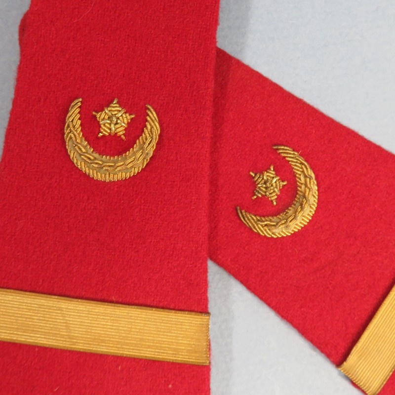 PAIRE D'EPAULETTES D'OFFICIER SOUS LIEUTENANT TROUPES SAHARIENNES ET SECTIONS ADMINISTRATIVES SPECIALISEES