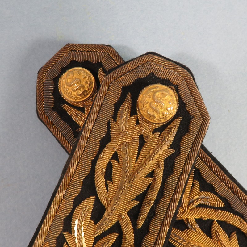 PAIRE D'EPAULETTES BRODEES D'OFFICIER DU SERVICE DE SANTE DES ARMEES MEDECIN POUR LA TENUE DE GALA OU LE SPENCER