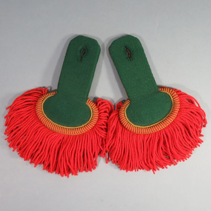 PAIRE D'EPAULETTES DE SOUS OFFICIERS DE INFANTERIE PARACHUTISTE LEGION ETRANGERE REI REP REG FABRICATION 1960 - 1980 JBDD2