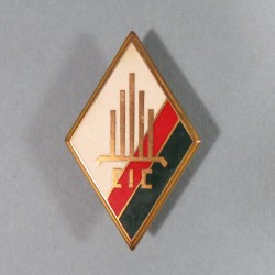 INSIGNE MILITAIRE LEGION ETRANGERE CIC DU 4 ème REI REGIMENT ETRANGER D'INFANTERIE FAB FRAISSE PARIS MARQUE AU DOS 1 JUIN 1980