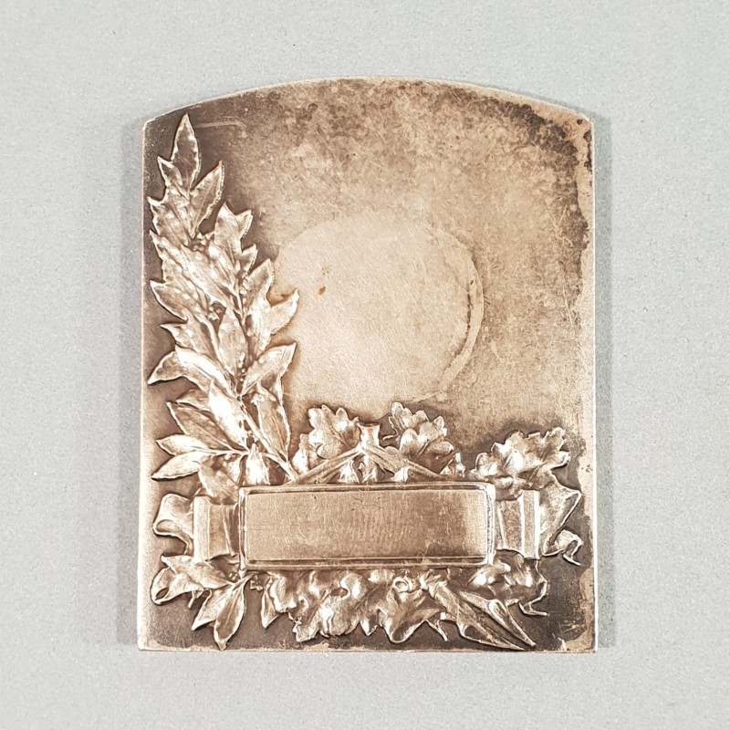 MEDAILLE EN BRONZE ARGENTE DE LA FEDERATION NATIONALE DES SOCIETES DE NATATION ET DE SAUVETAGE VERS 1900 GRAVEUR R. BRANGIER