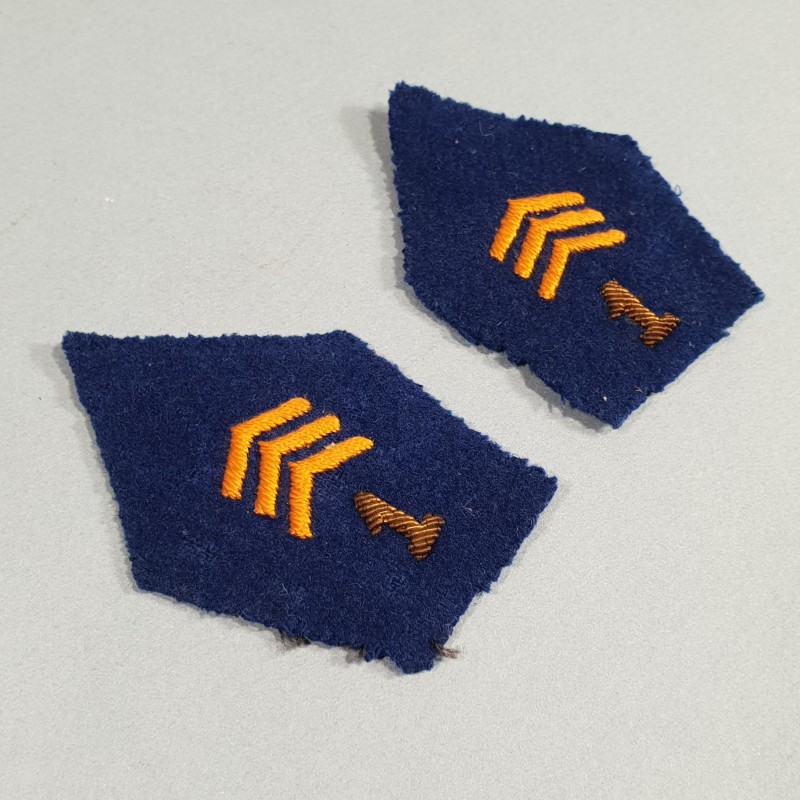 PATTES DE COL DE VESTE D'UNIFORME DU 1 er RCP REGIMENT DE CHASSEURS PARACHUTISTES 1950 1960 FOND BLEU ROI TAP