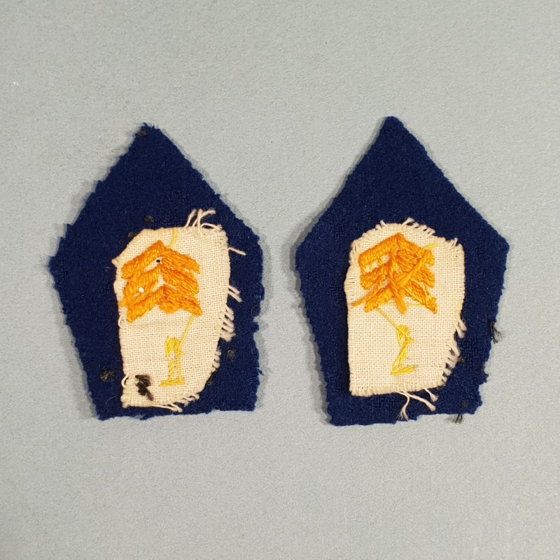 PATTES DE COL DE VESTE D'UNIFORME DU 1 er RCP REGIMENT DE CHASSEURS PARACHUTISTES 1950 1960 FOND BLEU ROI TAP