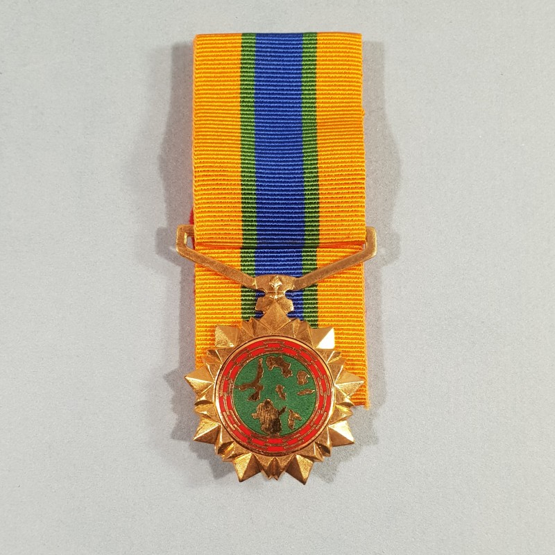 BOPHUTATSWANA AFRIQUE DU SUD MEDAILLE DE POLICE INDEPENDENCE SOUTH AFRICA MEDAL ATTRIBUEE °