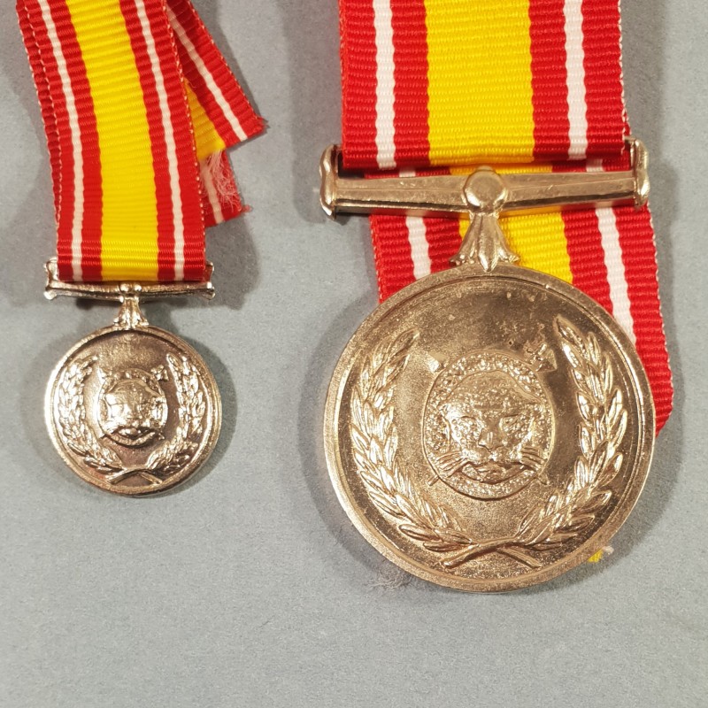 BOPHUTATSWANA AFRIQUE DU SUD MEDAILLE DEFENSE ANTITERRORISTE GENERAL SERVICE DEFENCE SOUTH AFRICA MEDAL °