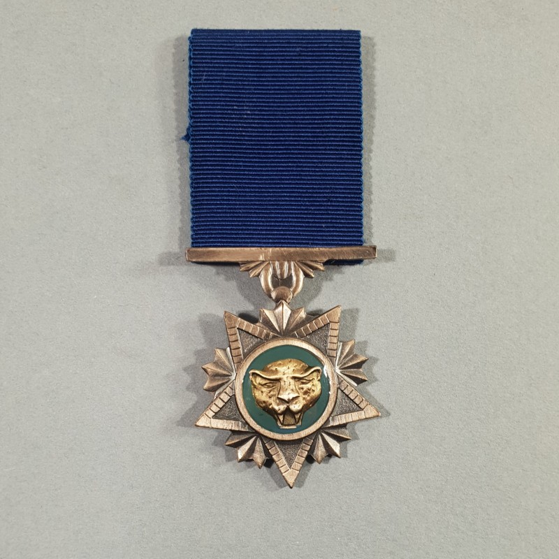 BOPHUTATSWANA AFRIQUE DU SUD MEDAILLE DU MERITE DES FORCES DE DEFENSE DEFENCE FORCE MERIT SOUTH AFRICA MEDAL °