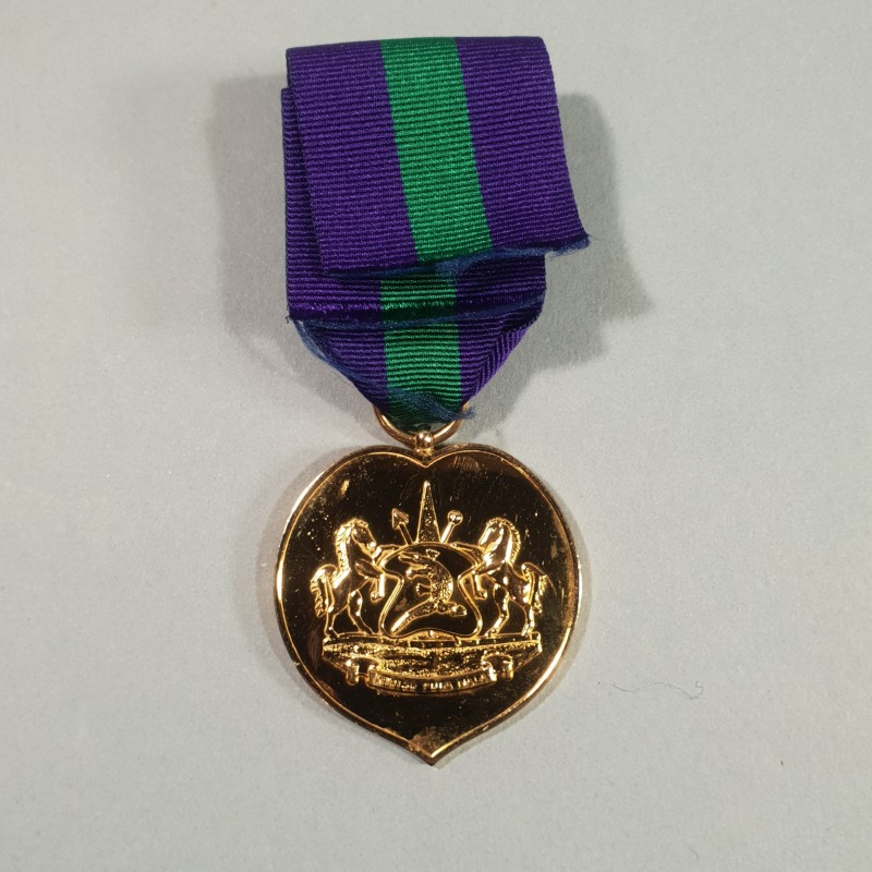 LESOTHO AFRIQUE DU SUD MEDAILLE DU COURAGE DES FORCES DE DEFENSE GALLANTRY SOUTH AFRICA MEDAL °